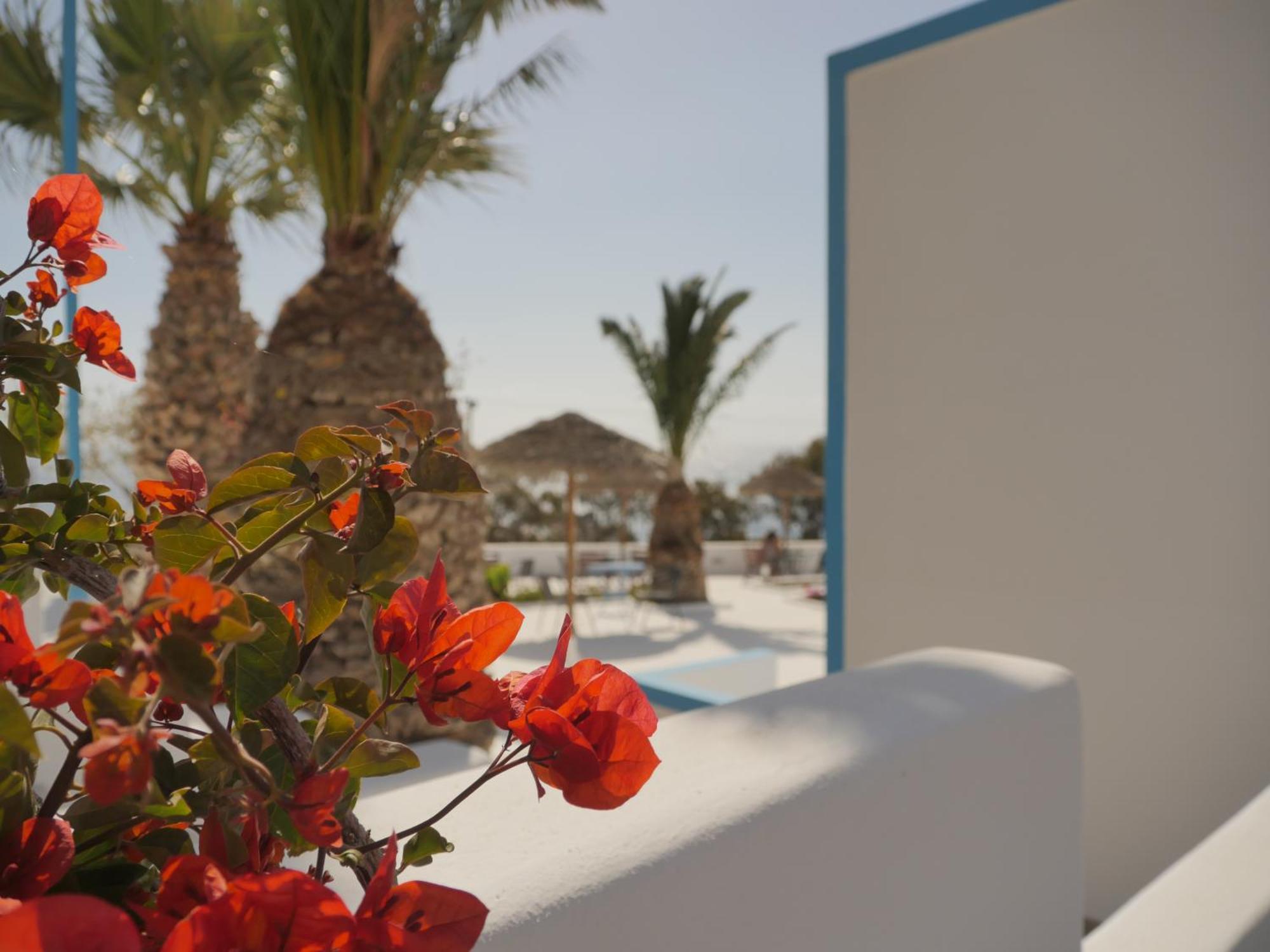 Ancient Thera Apartments Kamari  Exterior photo